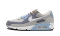 Air Max 90 "Ashen Slate" DM0035 400