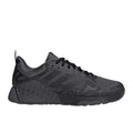 Dropset 2 Training Shoes