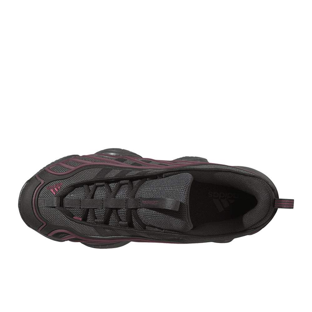 Intimidation Low Lace Up Sneakers